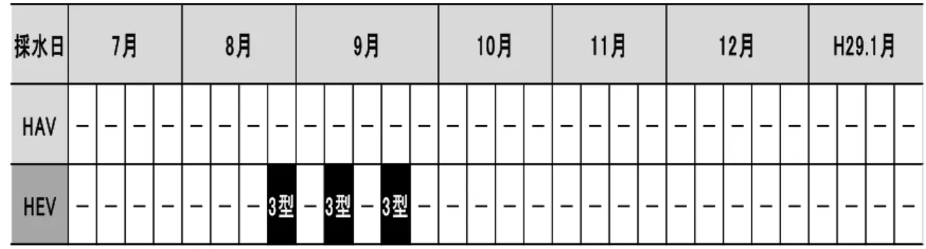 表 2  HAV ・HEV 遺 伝 子 の 検 出 状 況 （ － は 検 出 せ ず ） 3.3  HAV お よ び HEV の 検 出 状 況  HAV 遺伝子は検出されなかった。一方， HEV 遺伝子 は，8 月 24 日,9 月 7 日，9 月 21 日に採水した 3 検体 から検出され，遺伝子型はいずれも 3 型であった（表 ２）。  4  考  察  流入下水中より水中病原ウイルスである SaV，NoV 遺伝子の定量的な検出と HAV および HEV 遺伝子の検 出を試みた。調査期間中，集団感