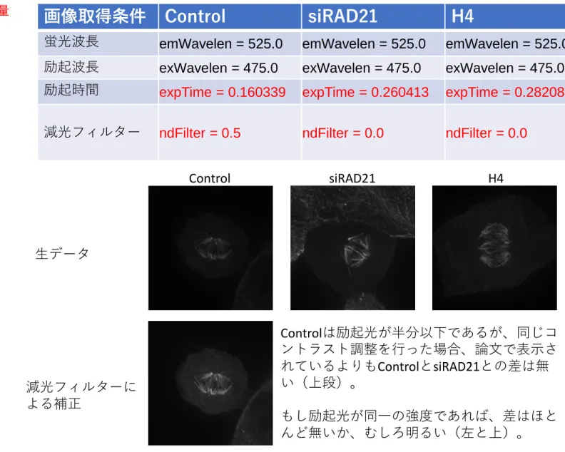 Figure S13 この図においても異なる撮影条件のものが定量 に用いられていた。 生データ Controlは励起光が半分以下であるが、同じコ ントラスト調整を行った場合、論文で表示さ れているよりもControlとsiRAD21との差は無画像取得条件ControlsiRAD21H4