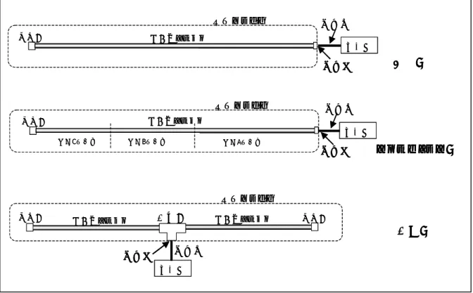 図 １ （ ４ ） 終 端 部 、 連 結 部 、 分 配 部 の 構 造  漏 洩 同 軸 ケ ー ブ ル の 終 端 部 に は 、 そ の 特 性 イ ン ピ ー ダ ン ス に 等 し い 終 端 器 を 接 続 し 、 容 易 に 分 解 で き な い 構 造 と す る 。  グ レ ー デ ィ ン グ 型 に お い て 、 異 な る 特 性 区 間 の 境 目 に 連 結 部 （ コ ネ ク タ 接 続 な ど ） が あ る 場 合 は 、 そ の 部 分 を 容 易 に 取 り 外 