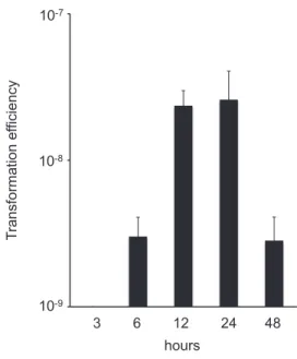 Fig. 4. Transformation efficiency for A. baumannii ATCC17978 following transformation with  pu-rified components from A