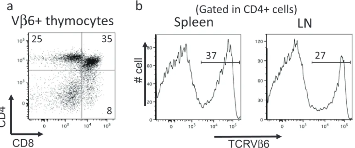 Figure 1. Flow cytometric analysis of thymus, spleen and lymph nodes (LN) in Dsg3H1 mouse