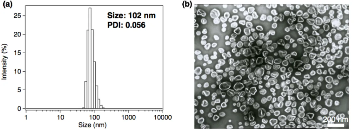 Fig. 3 β-Gal@PICsome . (a)  . (b)  . 