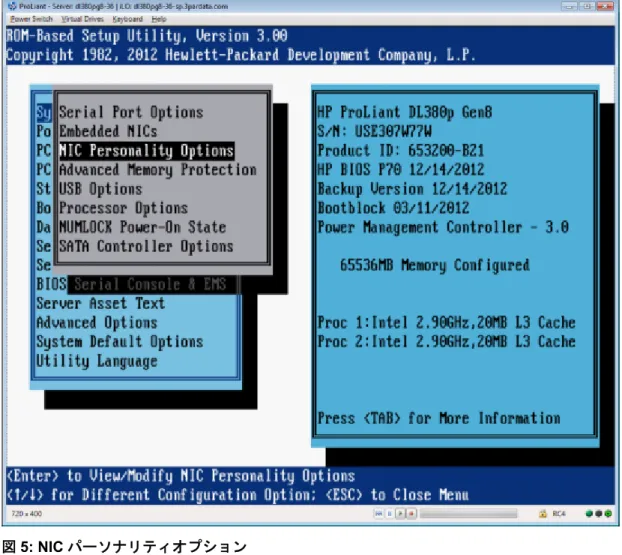 図 5: NIC パーソナリティオプション