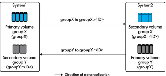 図 2 双方向 1-to-1 Remote Copy