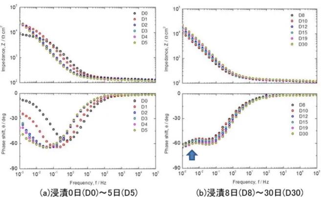 図 2.1-30 には Fe-1.4 %Si の Bode 線図を示す。浸漬初期の低周波数領域でのインピーダン スは時間とともに増加した(図 2.1-30(a))。これは、時間とともに腐食速度が減少すること を意味しているが、腐食速度は炭素鋼と比較して大きな値となっていた。一方、中間周波数 領域のインピーダンスは時間とともに減少する傾向が見られた。これは、腐食生成物が時間 とともに増加することを意味しており、炭素鋼に比べてより多くの腐食生成物が生じている ことを示唆している。また、8 日以降は低周波数領域に