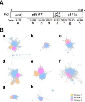 図 2.  Pol タンパク質機能ドメイン領域ごとの配列類似性 ネットワークの比較 