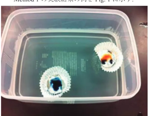 Fig. 1.   Results of experiment by Method 1Method 1の実験結果の例をFig. 1 に示す．