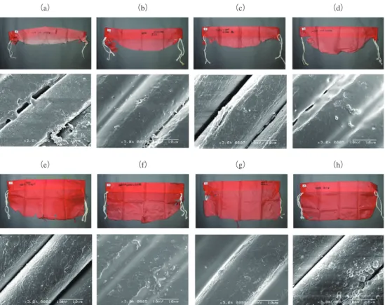 Fig.  5.   Examples for the change in shape and SEM photographs with different altitude for the ﬂags exposed on the route be- be-tween Syowa Station and Dome Fuji in the Antarctic