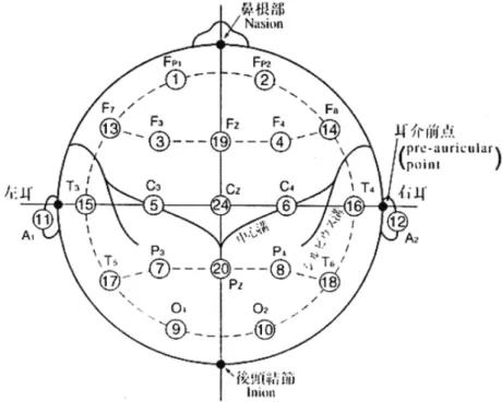 Figure 3-3 10-20 法の電極配置 Table 3-1 10-20 法の電極記号と部位名称 部位名称 電極記号 解剖学的部位 前頭極  (front polar)   Fp1 ， Fp2  前部前頭葉 前頭部  (frontal)   F3 ， F4  運動野 中心部  (central)   C3 ， C4  中心溝 頭頂部  (parietal)   P3 ， P4  感覚野 後頭部  (occipital)   O1 ， O2  視覚野 前側頭部  (anterior-temporal) 