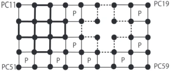 Figure 7: C 4 ’s (indicated by label P) in S BP (G) of G i C j for a non-selected literal.