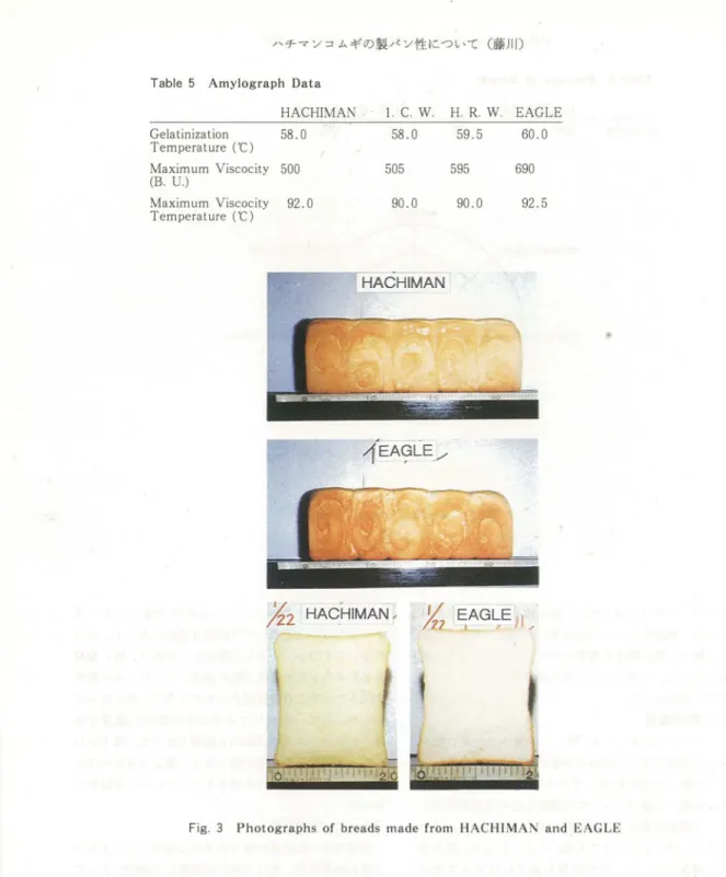 Tabl e5 Amyl ogr aphDat a