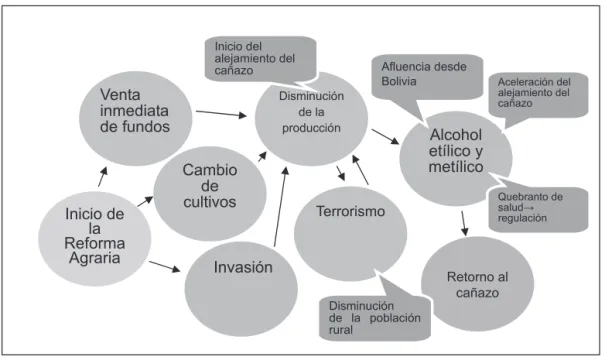 Fig. 14. Contexto social de la producción y consumo del cañazo en el período posterior a la reforma 