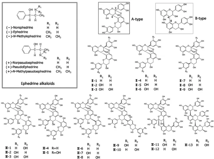 Fig. 1. Condensed Tannins from Ephedra Herba Reproduced form Ref. 2).
