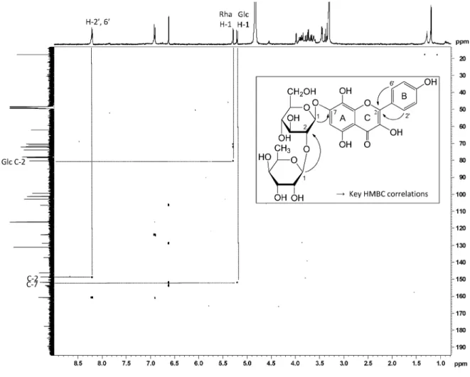 Fig. 3. Key HMBC Correlations of Compound 1 (500 MHz)