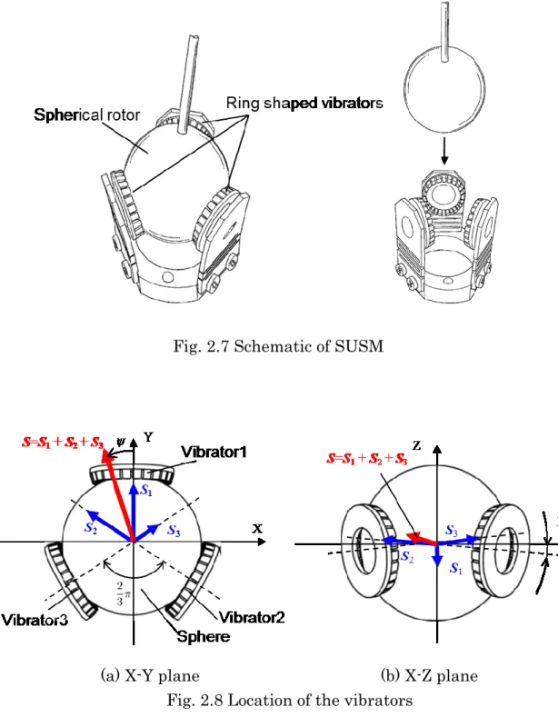Fig. 2.7 Schematic of SUSM 