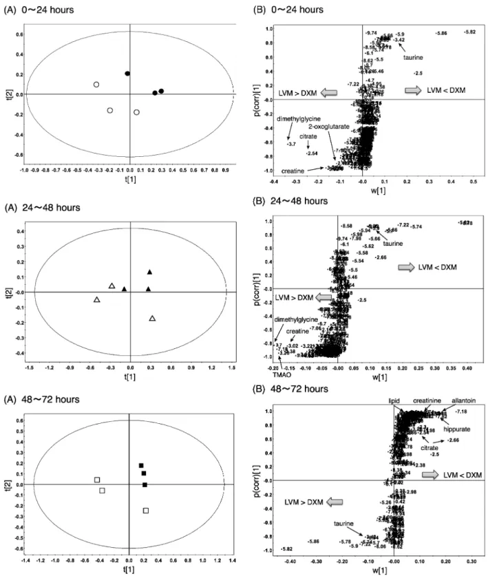 Fig. 4. Series of Partial Least Squares Discriminant Analysis (PLS DA) of 1 H-NMR Data of Rat Urine at Various Time Points fol- fol-lowing the Administration of LVM or DXM