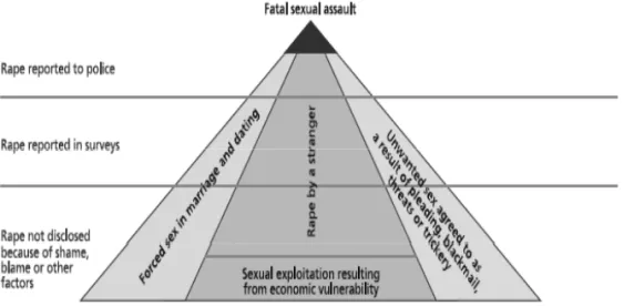 Fig. 2 Magnitude of the problem of sexual violence