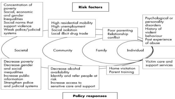 Fig. 3  An ecological mopdel for understanding violence