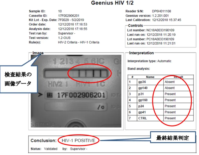図 5-1 Geenius リーダーを用いた判定結果の例（HIV-1 陽性例）