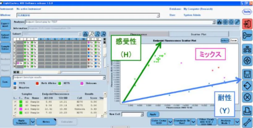 図 2.  Roche LightCycler 480 での解析結果の参考例 