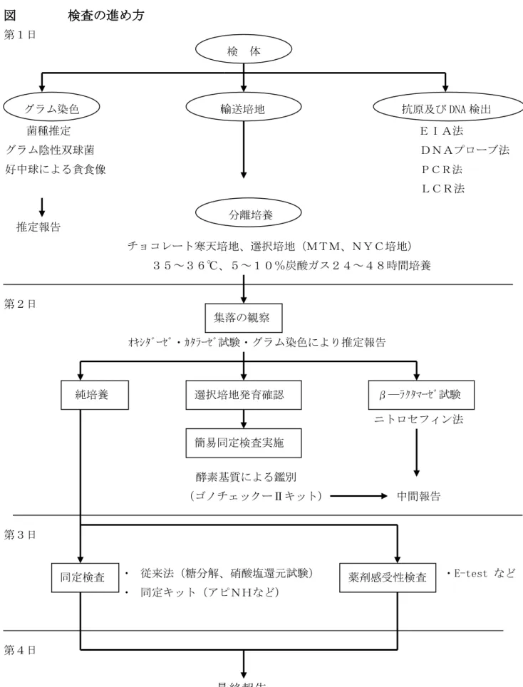 図        検査の進め方 第１日                                                                                                                                                                                                                                  菌種推定       