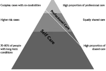 図 ₂ 　イギリス保健省の示す “Healthcare Pyramid” [₂₀]