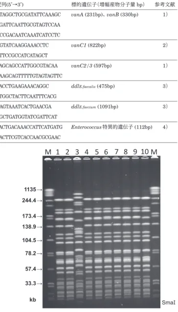 図 .  vanA 保有 Enterococcus faecium のパルスフィールド