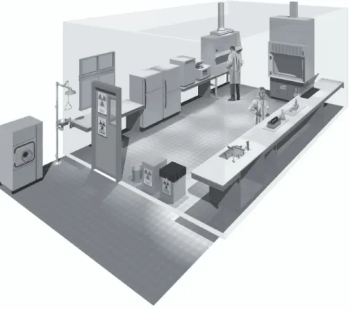 Figure 3. A typical Biosafety Level 2 laboratory