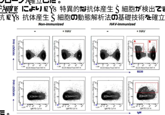 図 2. IgG 直接法の検量線:標準参照液 (1mIU / mL 抗 HAV 抗体 ) を用い、直線性に優れた検量線が作成できた。