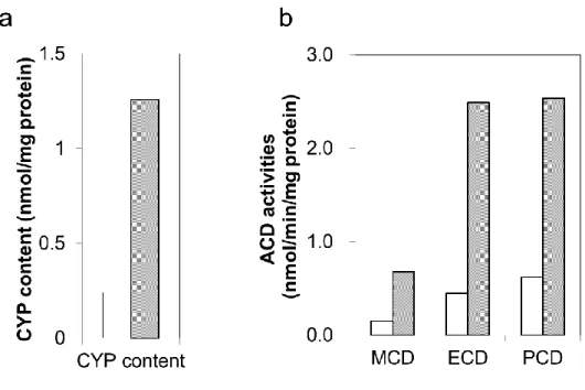 Fig.  1      Increases  in  CYP  content  and  alkoxycoumarin  dealkylase  activity  in  PB-BNF- PB-BNF-treated rat S9 