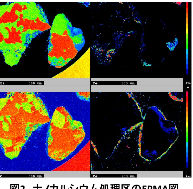 図 2   ナノカルシウム処理区の EPMA 図
