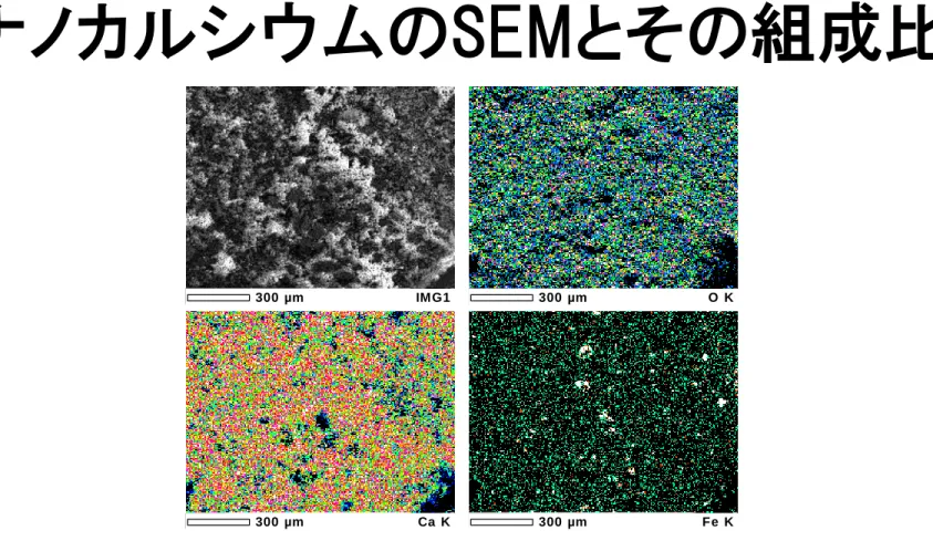Table Quantitative analysis of element composition by ZAF method 1 
