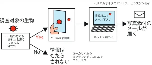 Fig. 7. The species being surveyed plays a significant role in the amount of distribution information that is provided by the general public.