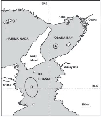 Fig. 3. Measurement of telson length and width of the  specimens.