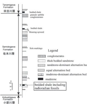 Fig. 4. Geologic columnar section of the Samotogawa Formation  along the Samotogawa River.