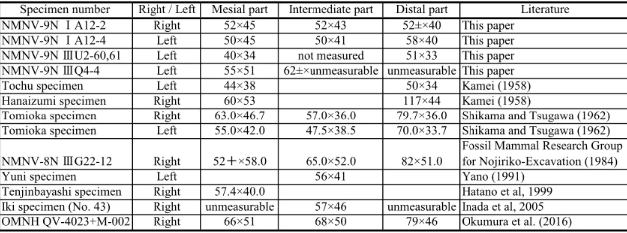 Table 1. Thichness of the main beam of Sinomegaceros yabei. Maximum diameter × minimum diameter in mm.