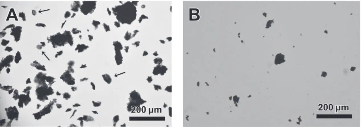 Fig. 2. Photomicrographs of Kerogen taken under transmitted light. A: MKm02 of the Kannabi Fromation