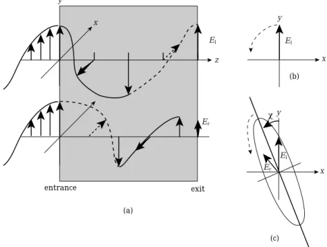 Fig 4 ῎ Circularly polarized light and elliptically polarized light   ῌ  