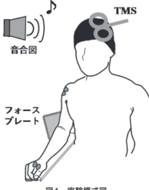 図 1 ．実験模式図