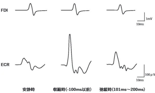 図 4 ．一人の被験者から得られた肩関節外転筋安静時，収縮時および弛緩時の手内在筋 （FDI） ，前腕筋 （ECR） のMEP