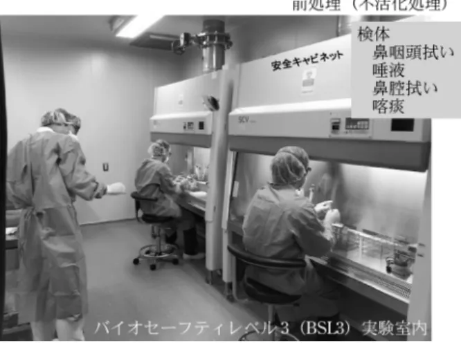 図 1 バ イ オ ハ ザ ー ド レ ベ ル 3 （BSL3 ） 実 験 室 に お け る SARS CoV 2 検査検体の前処理（不活化処理） 図 2 東京都健康安全研究センターにおける SARS CoV 2 検査数（2020 年 1～10 月)採取容器，検体搬送用パウチ袋，核酸抽出試薬やリアルタイムPCR用の基礎的試薬である。検査検体（鼻腔拭い，鼻咽頭拭いまたは唾液等）は感染性を有するため，PPE着用の上，BSL3実験室で不活化処理を行った後（図1），BSL2実験室において核酸増幅検査を実施