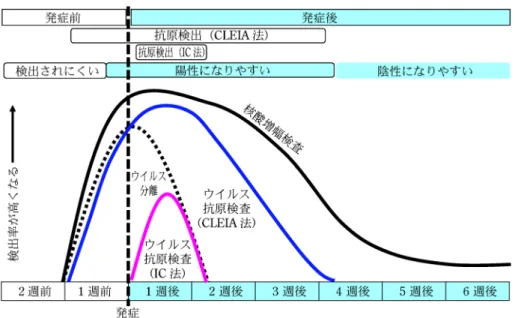 図 3 SARS CoV 2 感染後のウイルス量の変化（鼻咽頭拭い液） 図 4 SARS CoV 2 の模式図とゲノム構造 可能な検体として今後の使用が期待される。一般に，抗 体検査は感染の有無を調査するのに重要なツールとなっ ているが，SARS CoV  2 感染については検査診断とし ては使用されておらず，我が国において IVD を取得し た試薬はまだない。 4 SARS CoV  2 検査試薬 SARS CoV 2 検査試薬には，大きく分けて 2 種類存 在する（図 4）。SARS