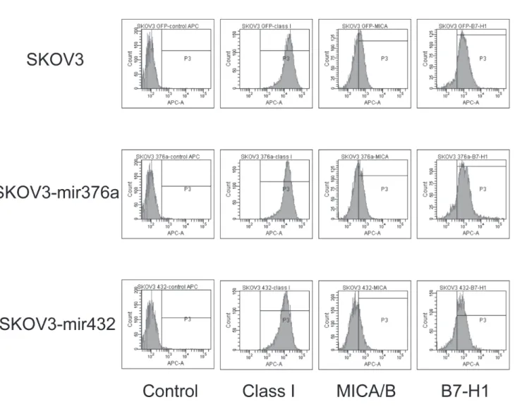 Fig. 5. mir - 432 overexpression downregulates MICA/B expression in ovarian cancer cells.