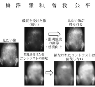 図 1 光の吸収および散乱がイメージング結果に及ぼす影響 造影対象と検出器の間に吸収体があると像が暗くなってしまう が，コントラストが損なわれていなければ，照明強度や検出感 度を調節することで目的の像が得られる。しかし，造影対象と 検出器の間に散乱体があると像のコントラストが損なわれ，照 明強度や検出感度を調節しても目的の像は得られなくなってし まう。（例として示した画像は，近赤外蛍光プローブ 1) の血管内 投与により造影されるマウスの腹部血管である。）生体はどうすれば透明になるか？梅澤雅和， 曽我 公 