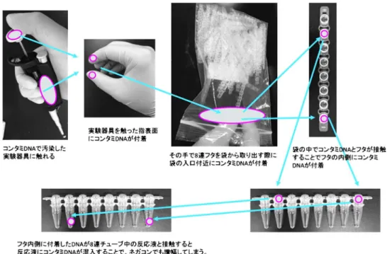 図 6 キャリーオーバーコンタミネーション事例 図 7 キャリオーバーコンタミネーションの対策例されるエアコンの吹き出し口，床や壁からは検出されず，むしろドアノブ，ピペッタや遠心機のボタンや受話器など，よく手で触れる部分から検出された（図5）。実際のお客様の事例として，パソコンのEnterキーからは検出されたが，F1キーからは検出されないケースや，同フロアの最も遠い場所にあるエレベータのボタンから検出されるケースもあった。つまり，空気中に浮遊しているものが，反応液に落下することでコンタミネーションが発生して