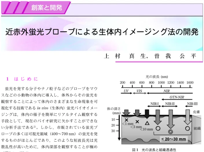 図 1 光の波長と組織透過性 114 ぶんせき    近赤外蛍光プローブによる生体内イメージング法の開発上村真生， 曽我公平1は じ め に蛍光を発する分子やナノ粒子などのプローブをマウスなどの小動物の体内に導入し，体外からその蛍光を観察することによって体内のさまざまな生命現象を可視化する技術であるin vivo（生体内）蛍光バイオイメージングは，体内の様子を簡単にリアルタイム観察する手段として，現在のバイオ研究に欠かすことができない分析手法である1)。しかし，市販されている蛍光プローブの多くは可