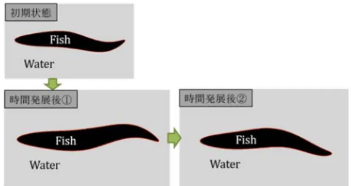 図 8   魚型モデル（初期状態（左） ，変形時（右） ） h(x,t) 