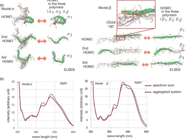Figure 4 (a) The aggregated polymer models  