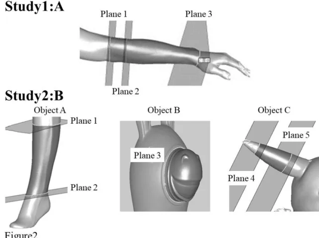 Figure 2    3D image and analysis plane in Study 1 and 2