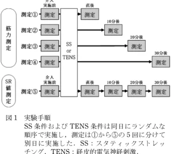 図 1 実験手順 SS 条件および TENS 条件は同日にランダムな 順序で実施し，測定は◯ から◯ の 5 回に分けて 別日に実施した．SSスタティックストレッ チング．TENS経皮的電気神経刺激．により筋力が低下した際に筋硬度がどのように変化するのかは明らかでない．また，機器を用いたコンディショニングの1つに経皮的電気神経刺激（Transcutaneous ElectricalNerve Stimulation以下，TENS）がある．TENSは 設定 す る刺 激強 度 や周 波数 に より 